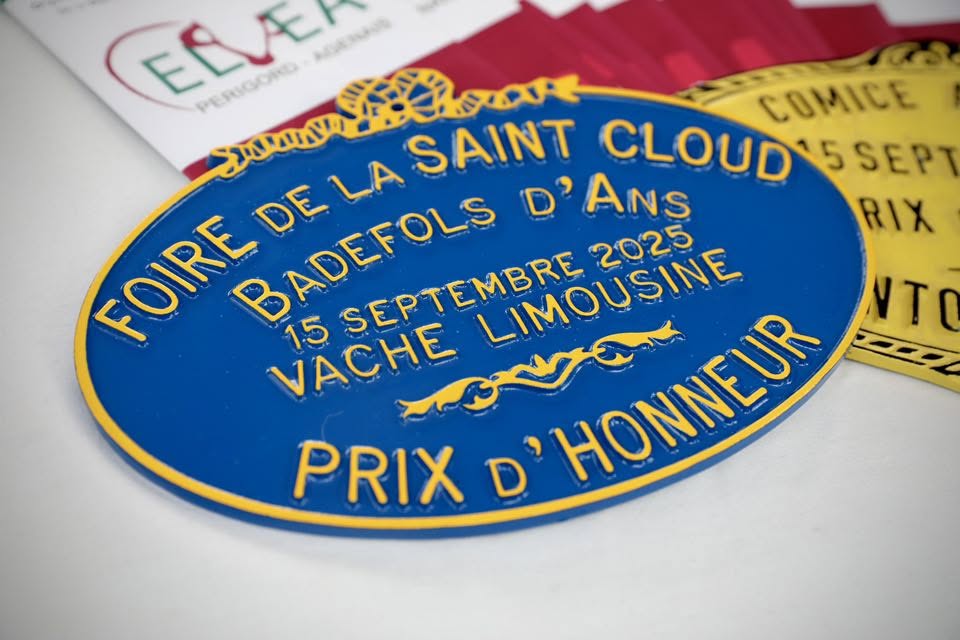 Fête de la Saint Cloud