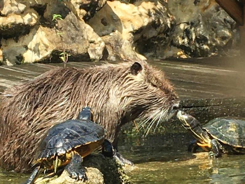 Aquarium du Périgord Noir - Univerland Le Bugue
