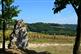 Tayrac, le circuit du menhir - Crédit: @Sirtaqui Cf. ADRT Tourisme Lot-et-Garonne