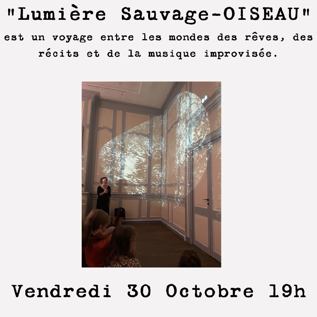Sortie de réseidence : Lumière sauvage-oiseau