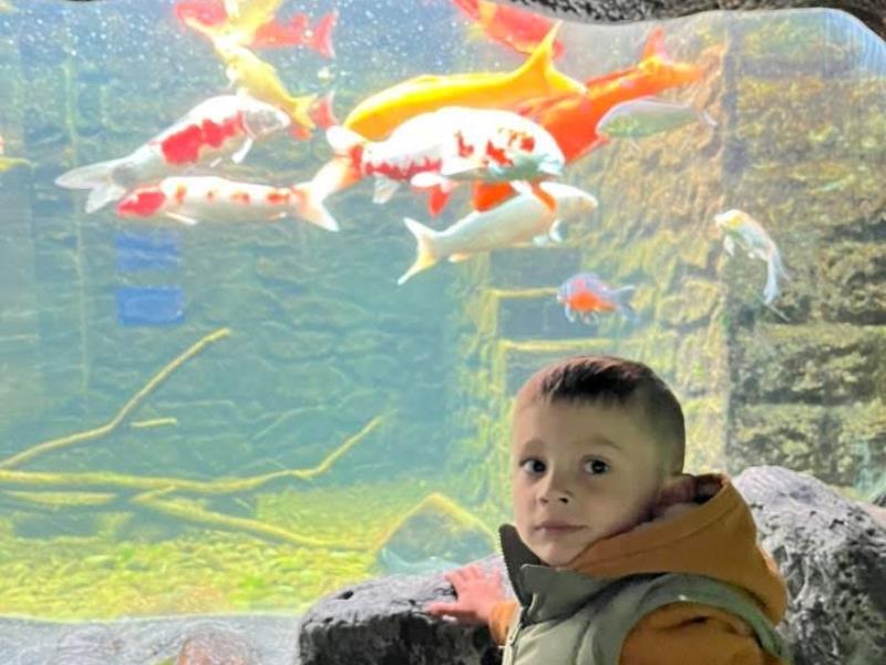Aquarium du Périgord Noir - Univerland Le Bugue