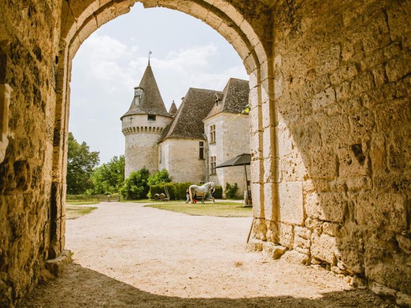 Château de Bridoire