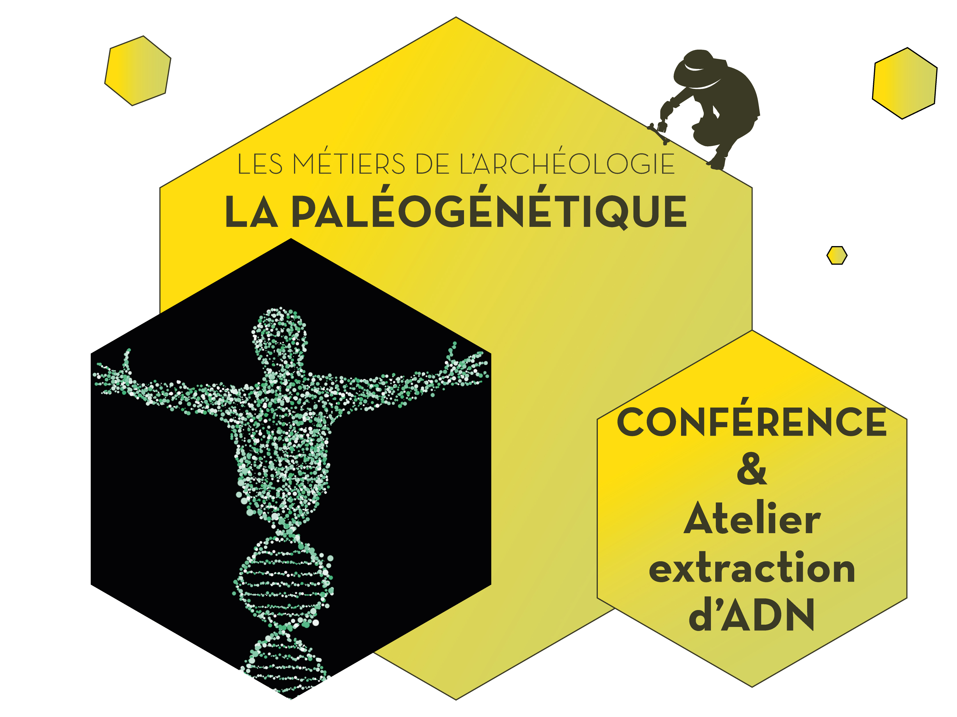 La paléogénétique - Les métiers de l'archéologie 