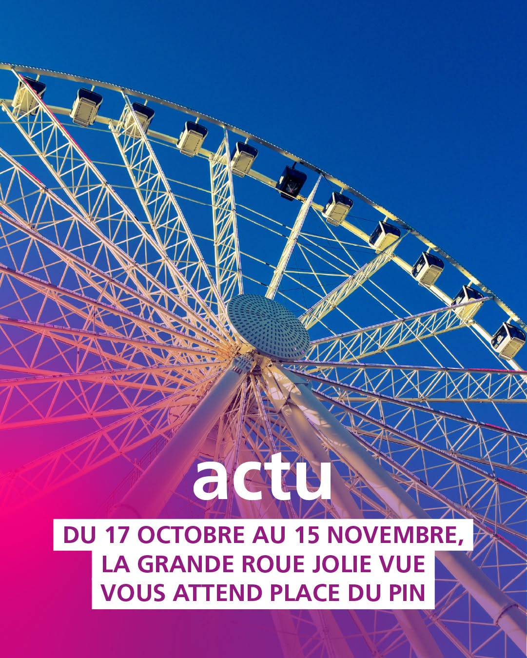 Grande roue Jolie Vue