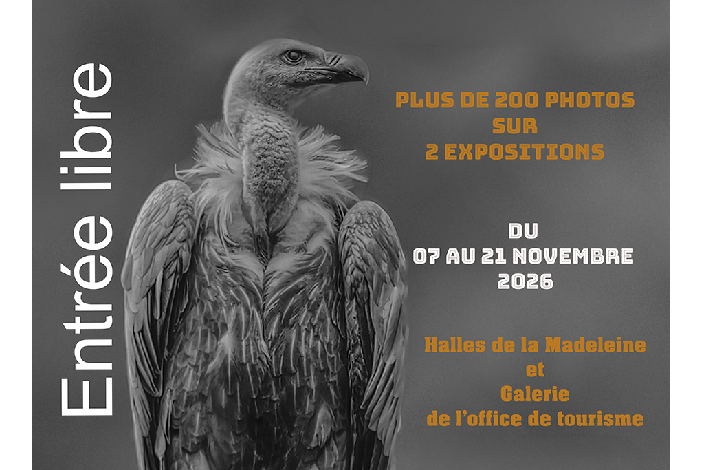 Exposition de photos