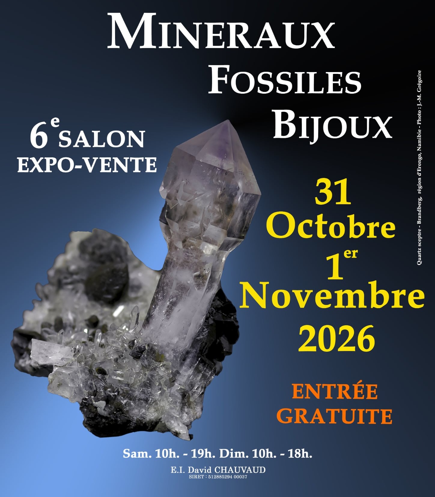 Salon Minéraux Fossiles Bijoux
