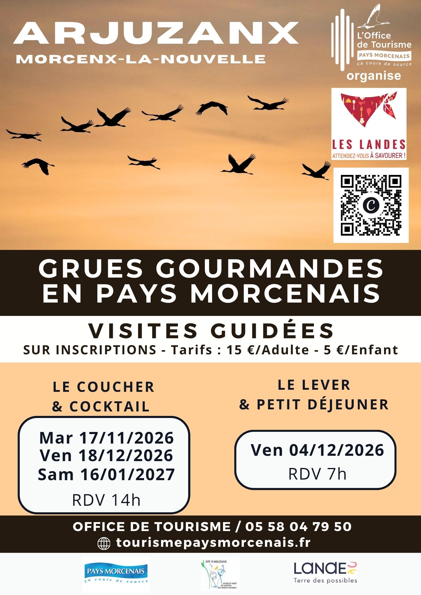 Les grues gourmandes en Pays Morcenais - Le coucher