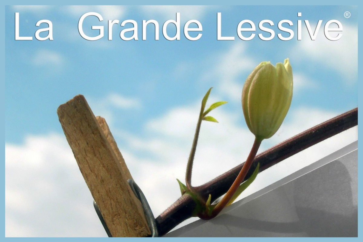 La Grande Lessive