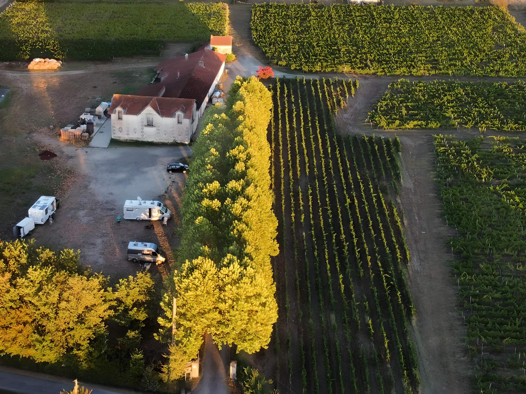 Aire de camping-cars du vignoble Pestoury