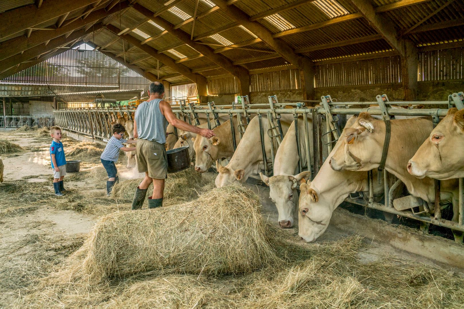 Apprenti à la ferme : moments magiques à la ferme
