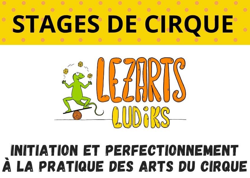 Stage des arts du cirque avec Lezarts Ludiks