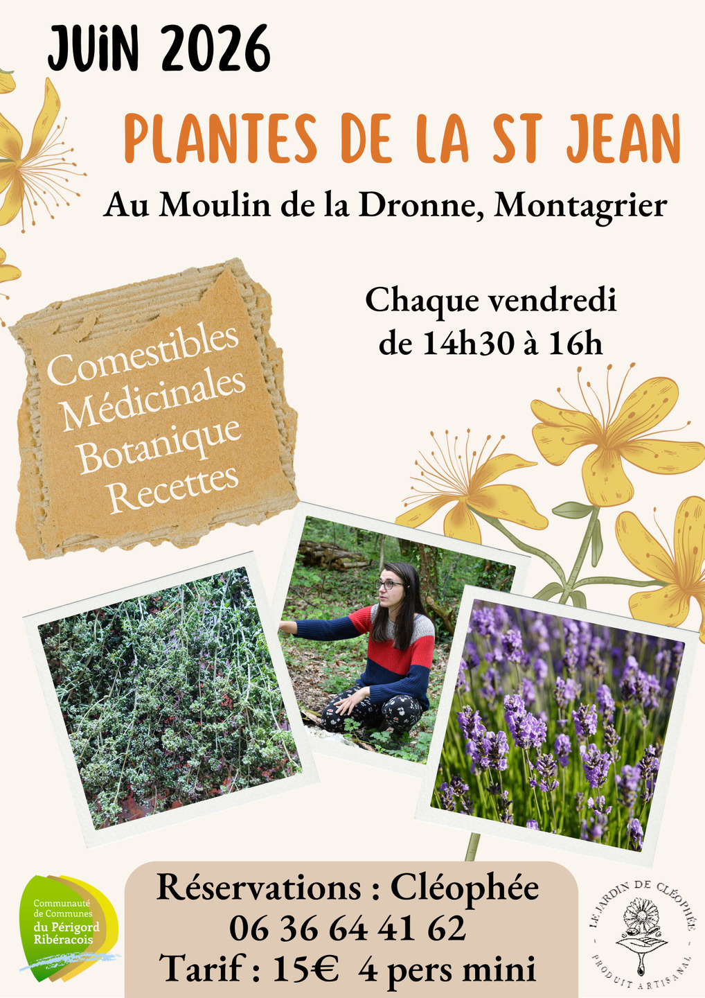 Ateliers Plantes Sauvages