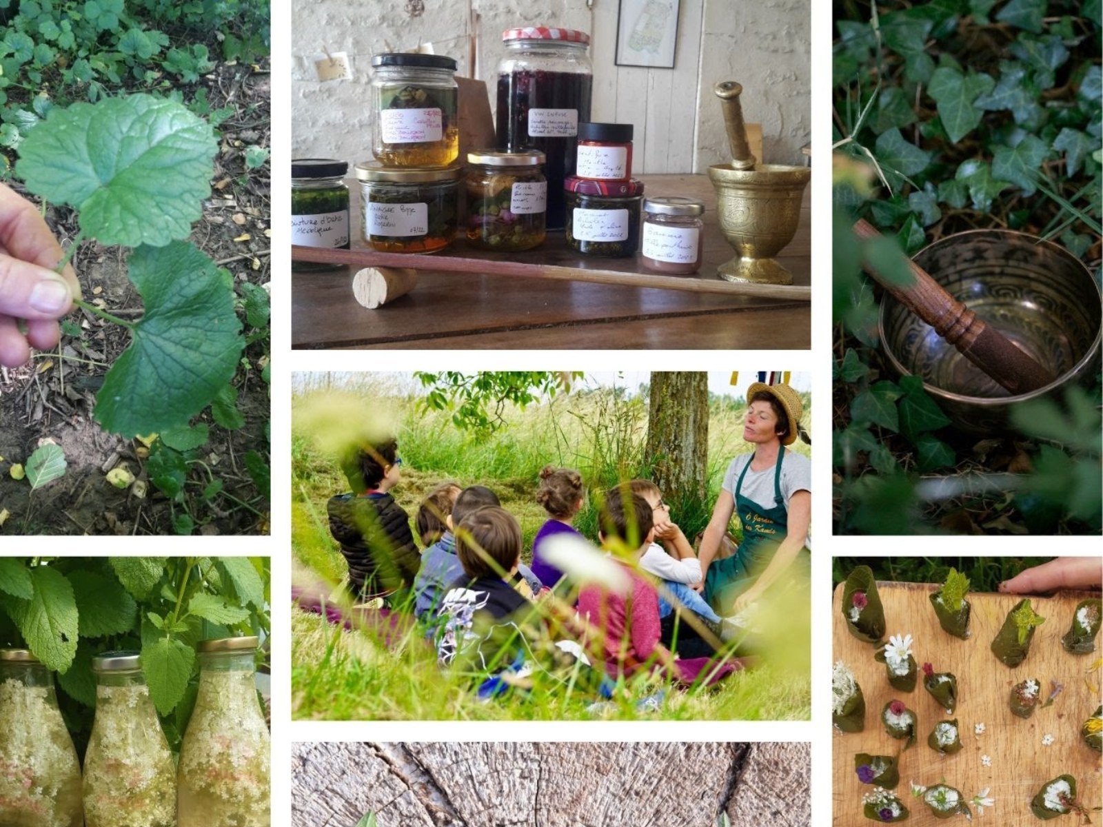 Programme des ateliers et stages d'Ô Jardin des Kamis