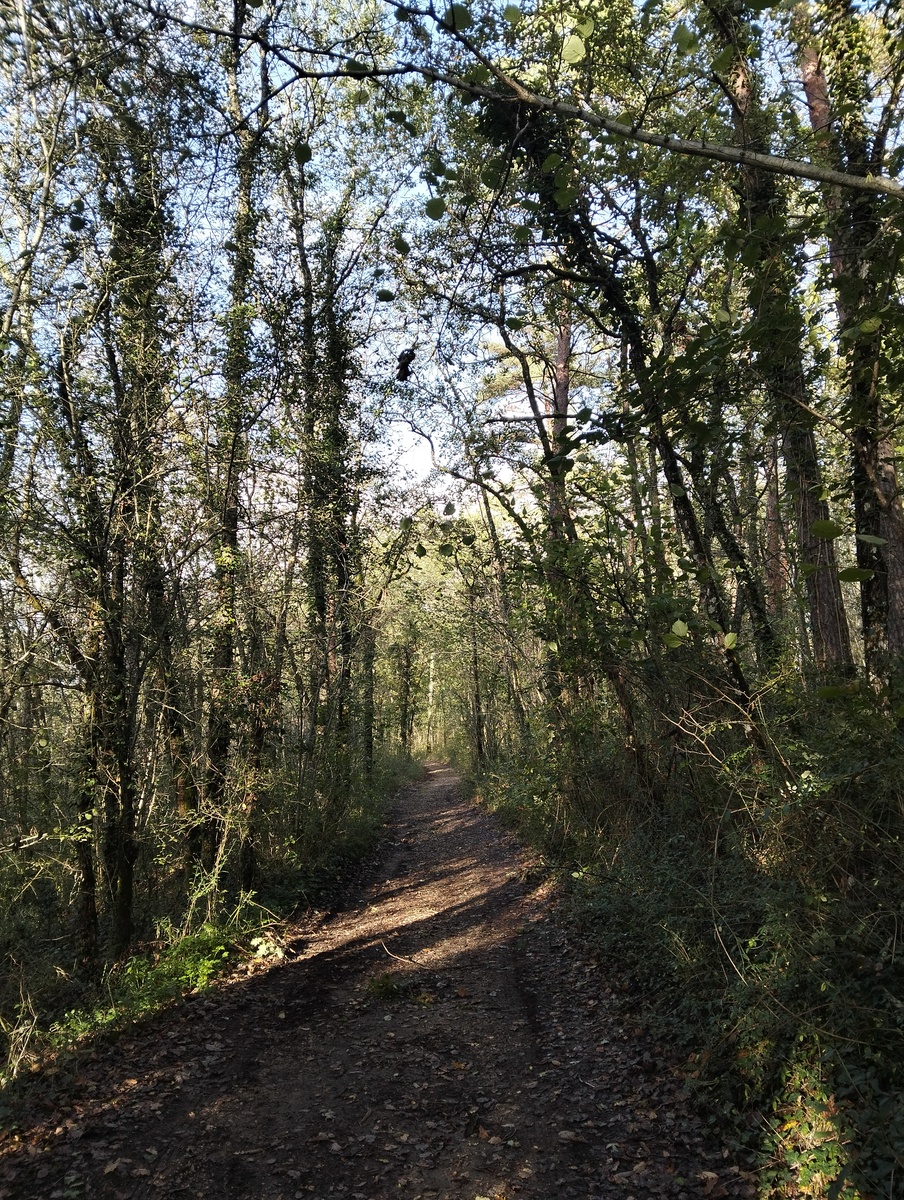 Parcours trail Le Bugue n°2