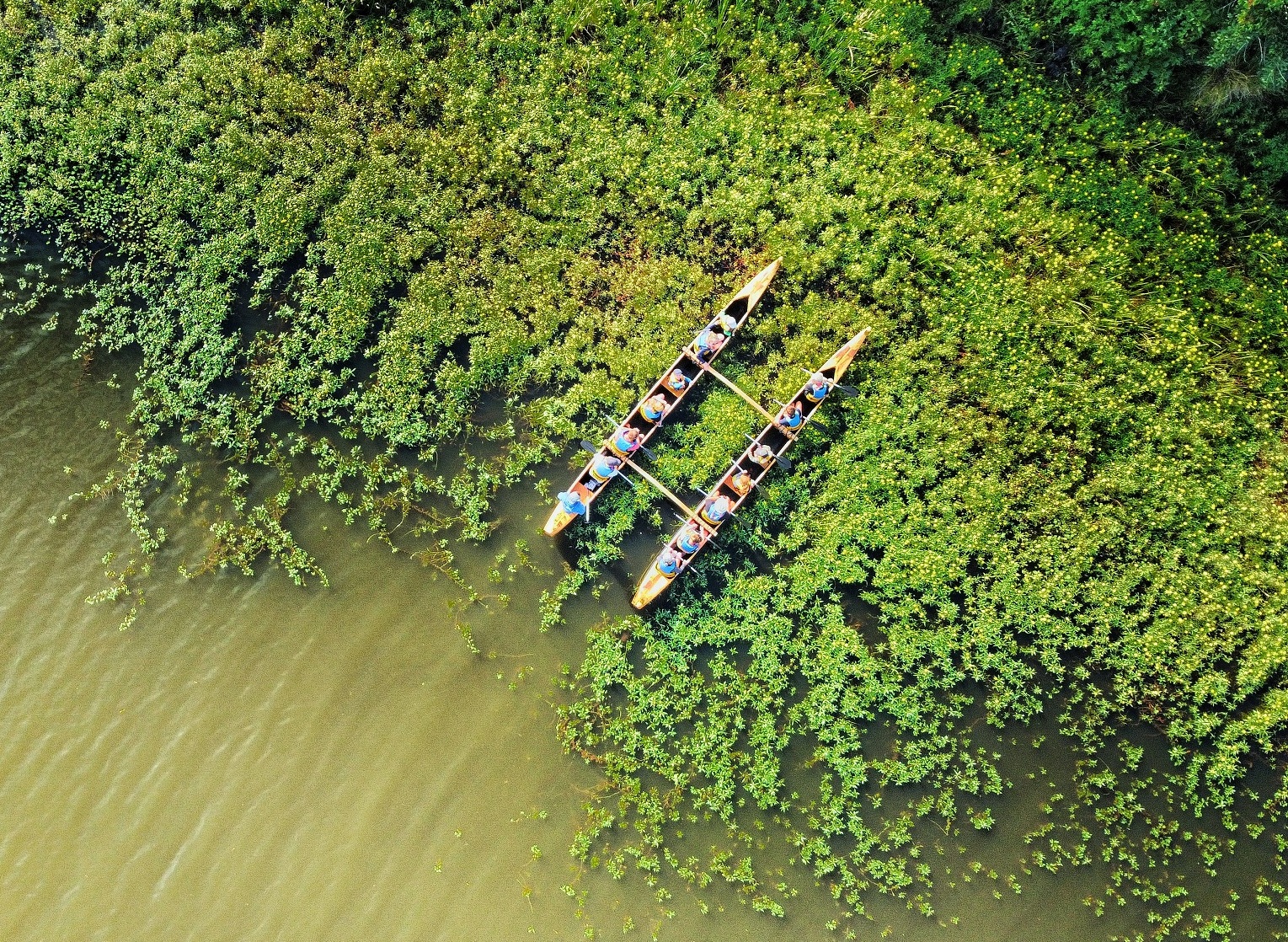 Balade nature en pirogue hawaïenne