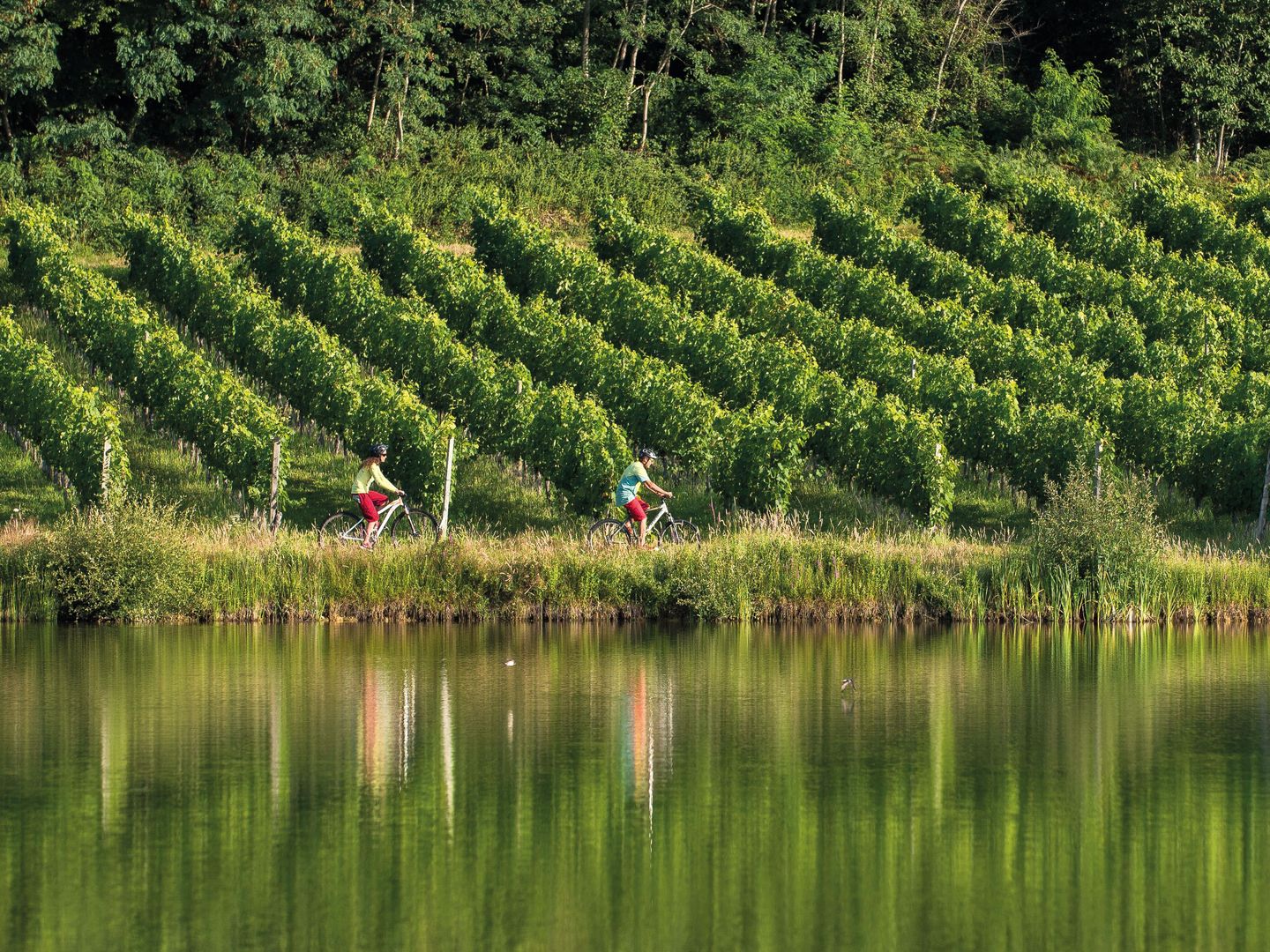 Aydie, au cœur du vignoble à VTT