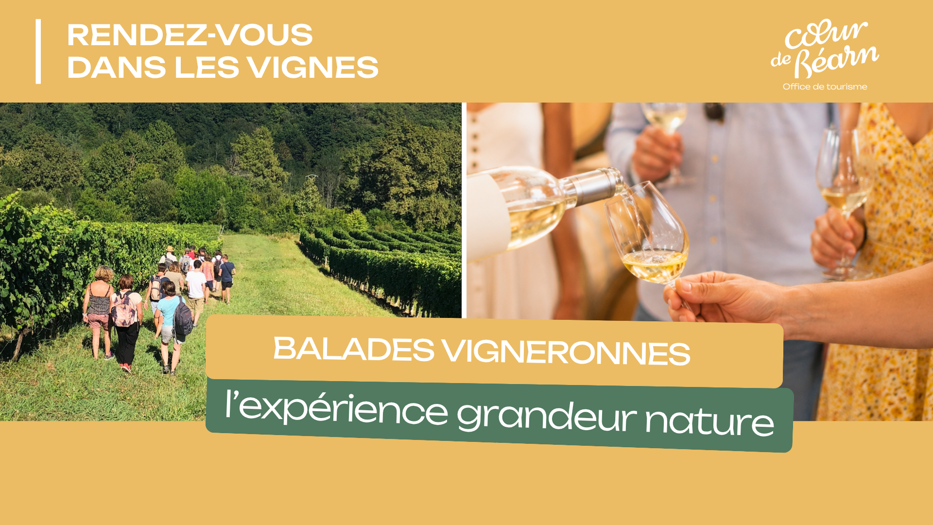 Balade vigneronne : Domaine Larroudé