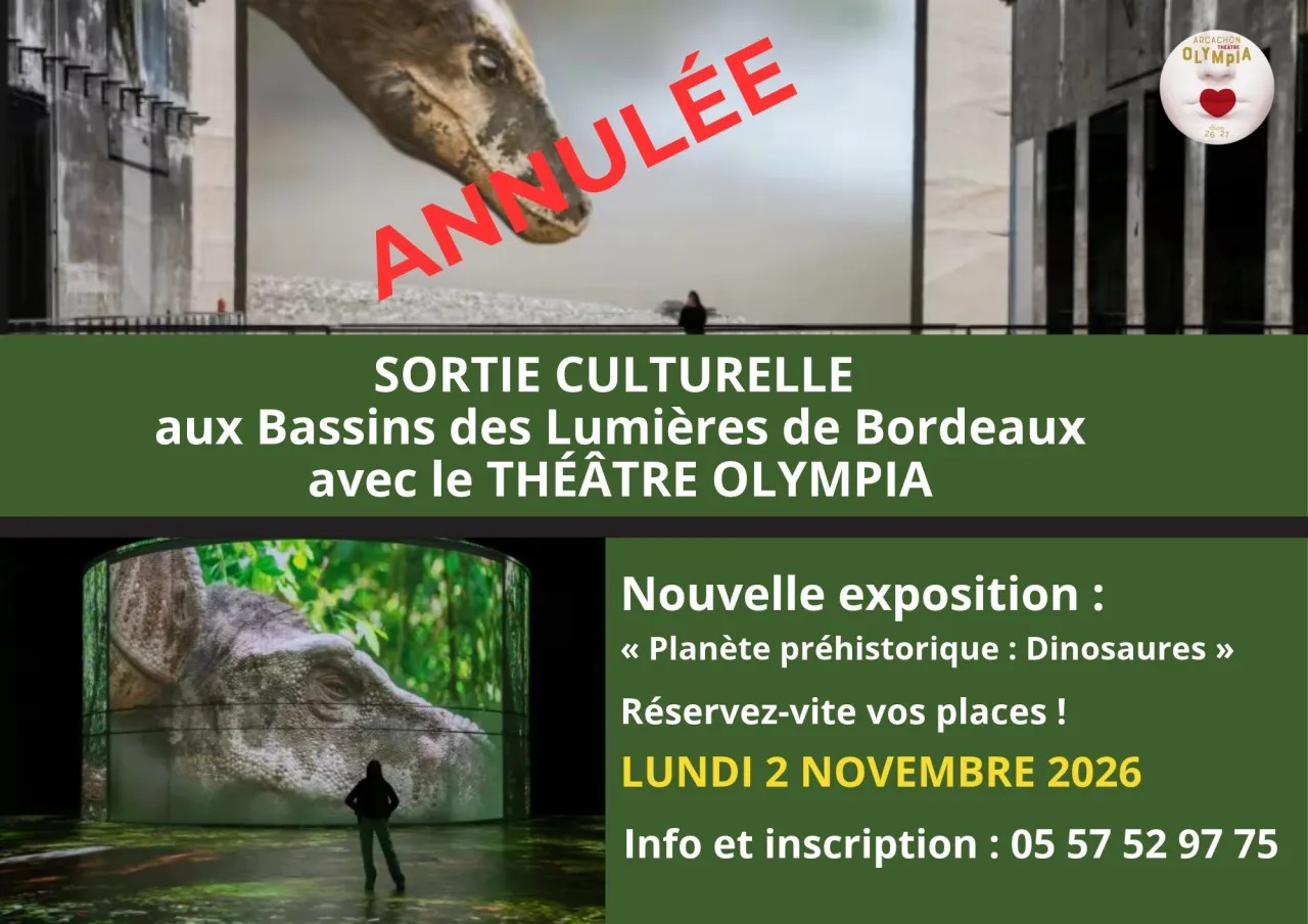 ANNULÉ Sortie culturelle au Bassin des Lumières