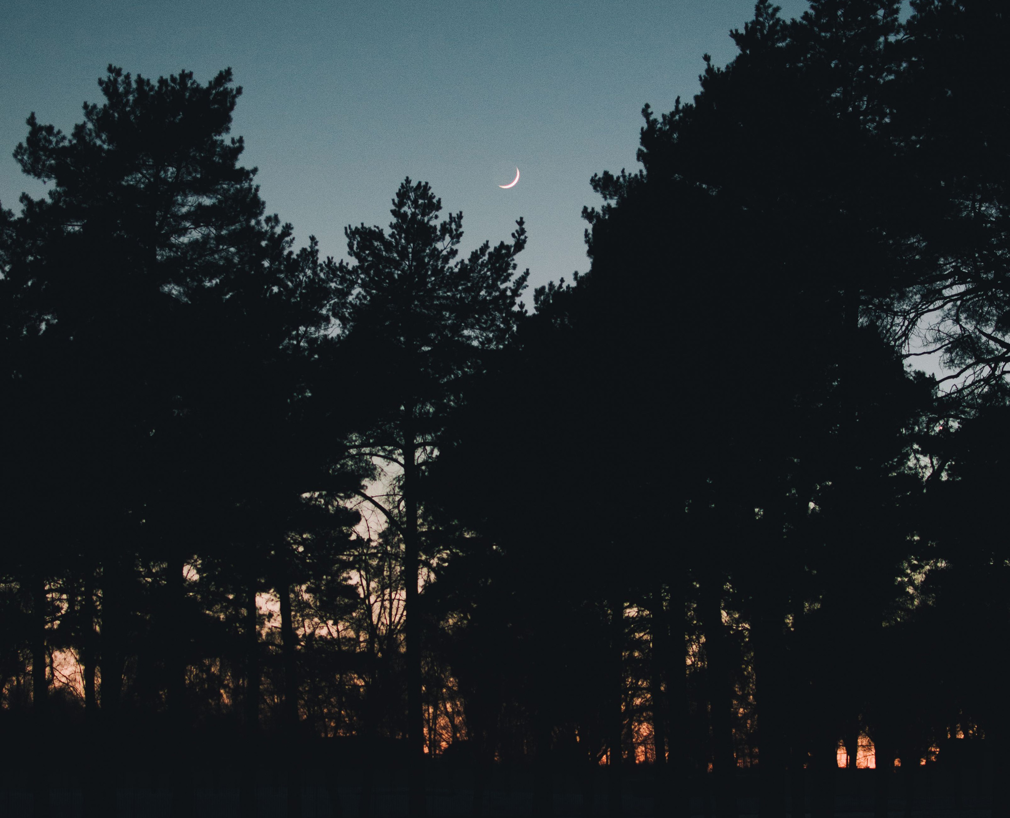 Balade nocturne