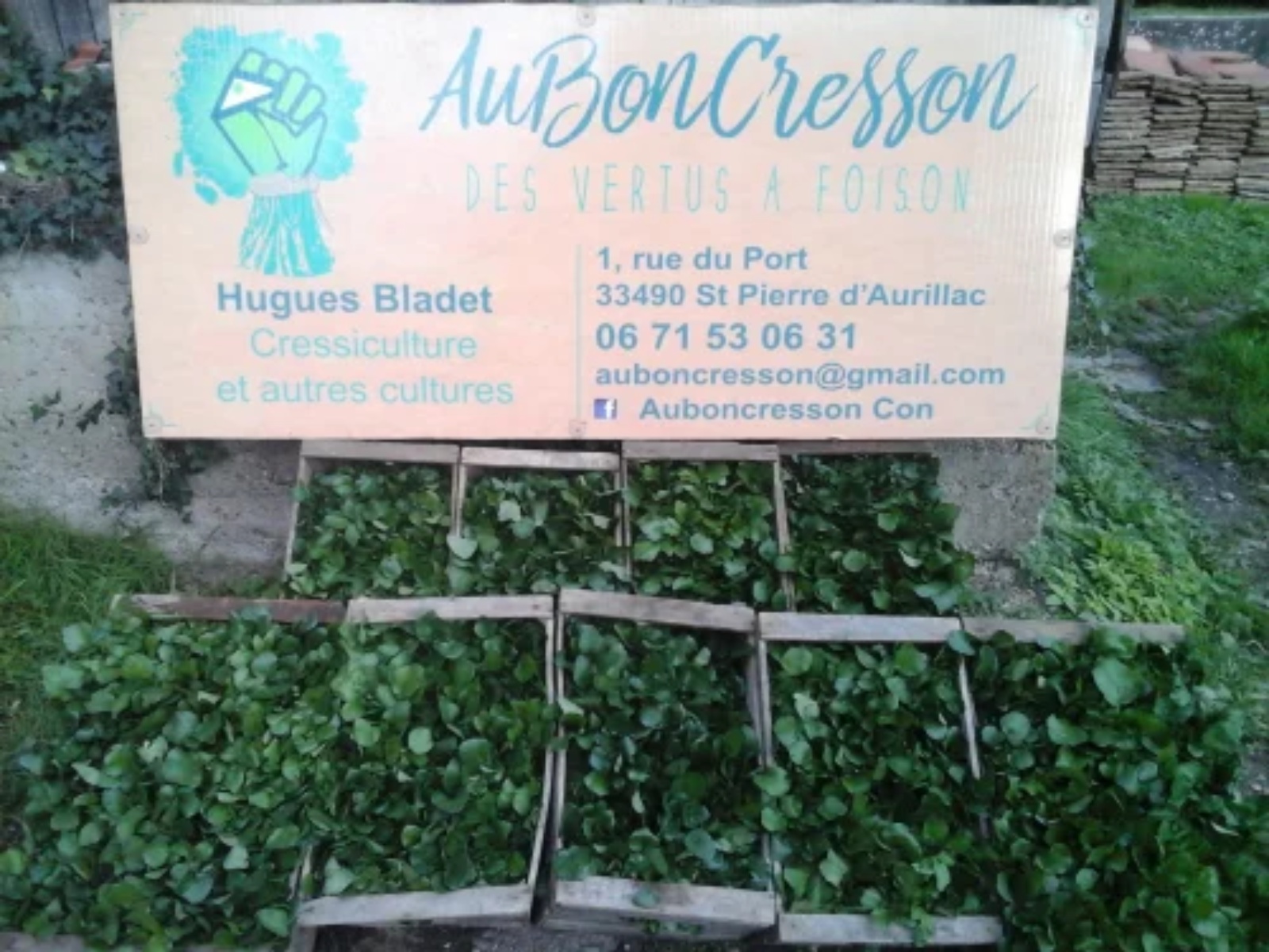 Ici, nos savoir-faire - Visite de l'exploitation 