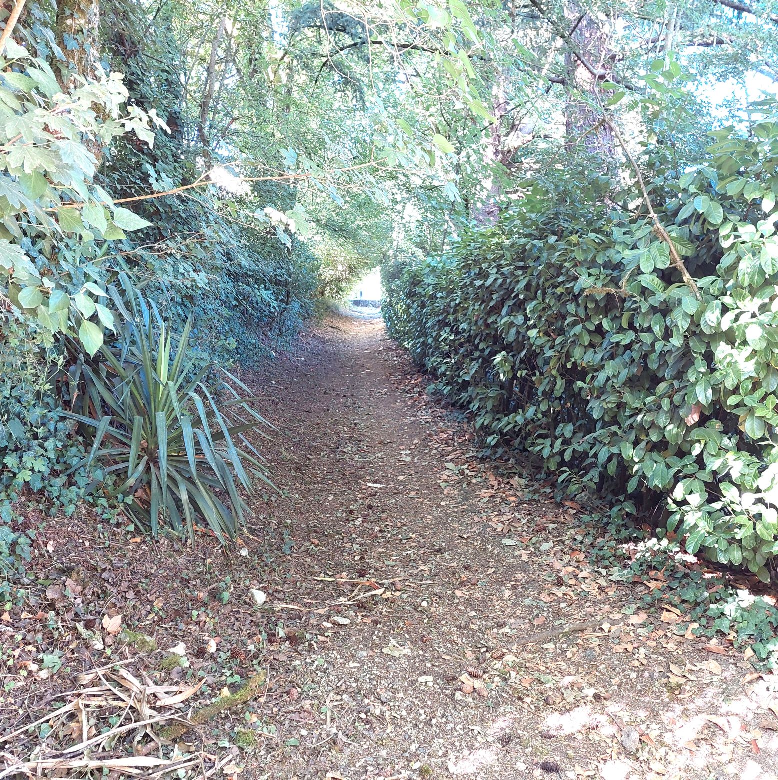 Boucle des Andrivaux
