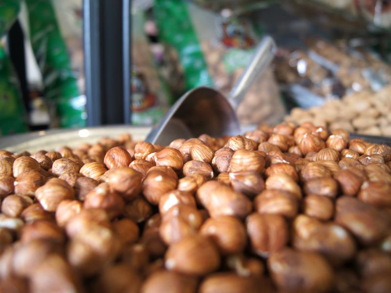 Visite de la coopérative Unicoque et des vergers de noisetiers