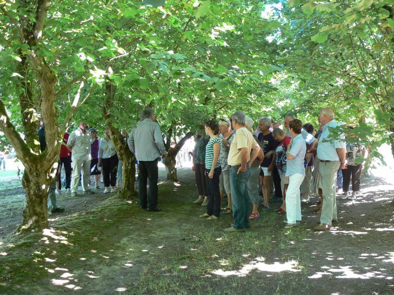 Visite de la coopérative Unicoque et des vergers de noisetiers