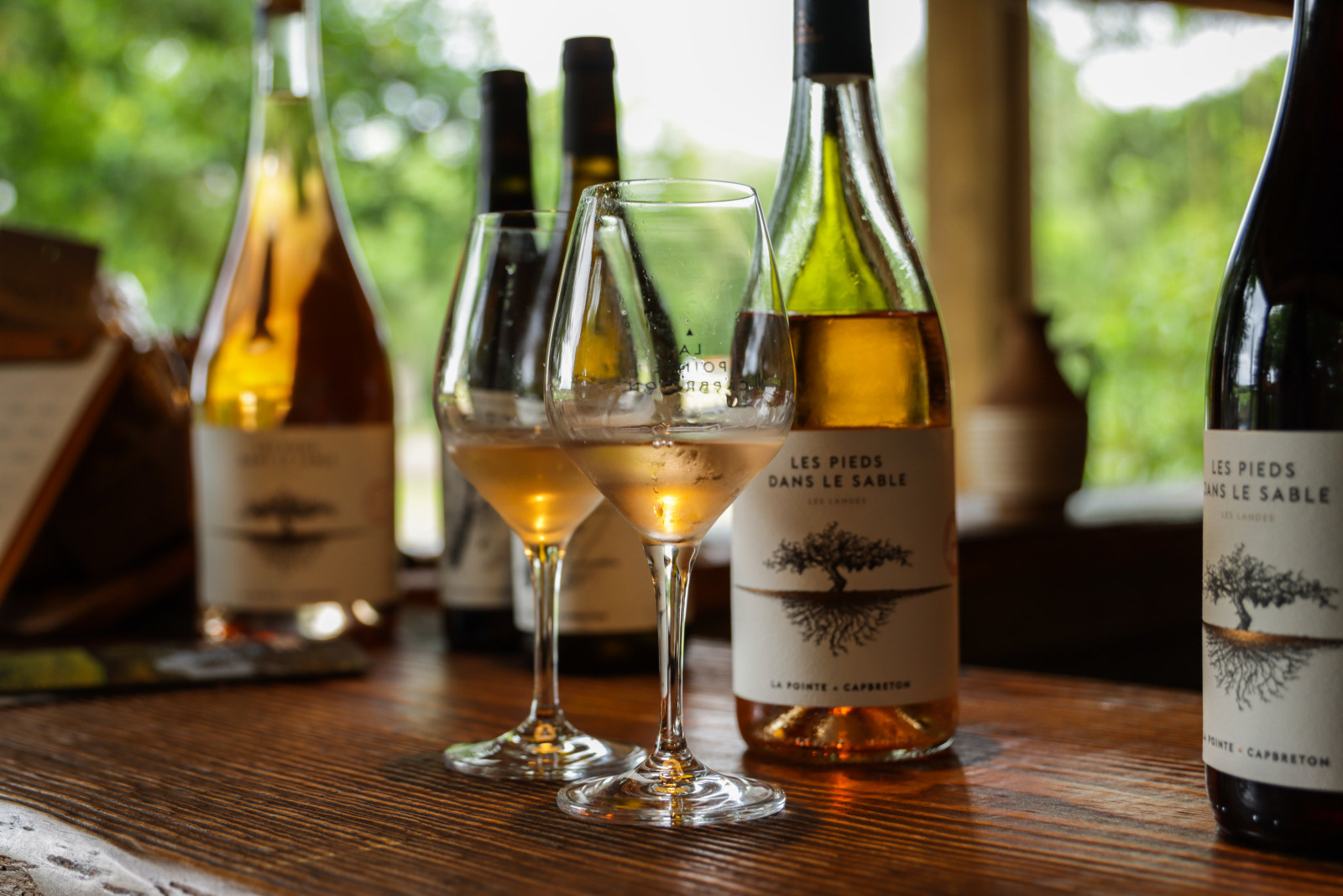 Visite apéritive au Domaine de La Pointe