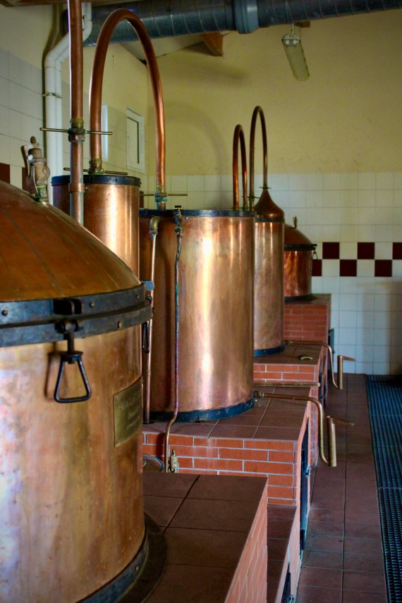 Visite commentée Distillerie