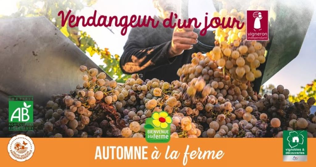Automne à la ferme | Domaine de Grange Neuve