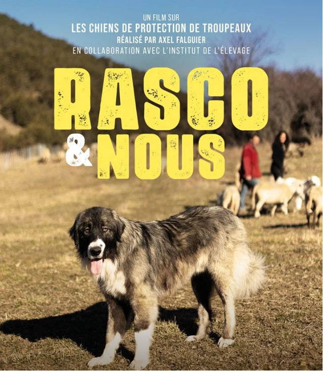 Projection - échanges : Rasco et nous