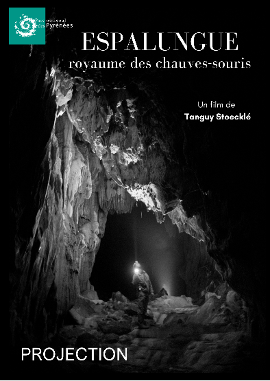 Projection - échanges : Espalungue, le royaume ...