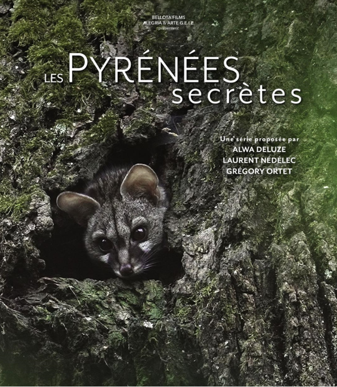 Projection - échanges : La discrète du piémont ...