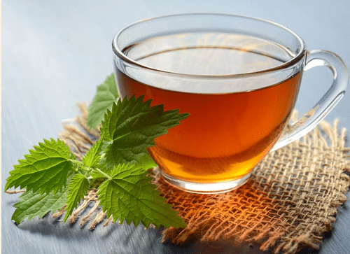 De la plante à l’infusion : j’apprends à faire ...