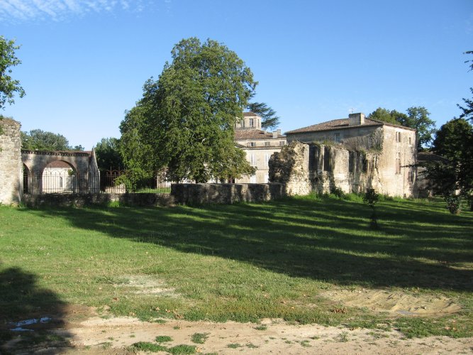 Vignoble PIVA