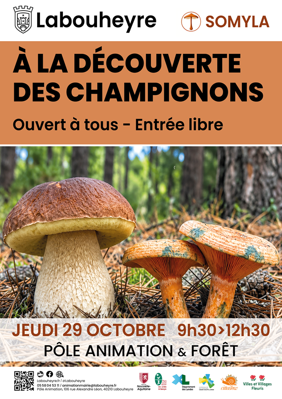 Atelier à la découverte des champignons