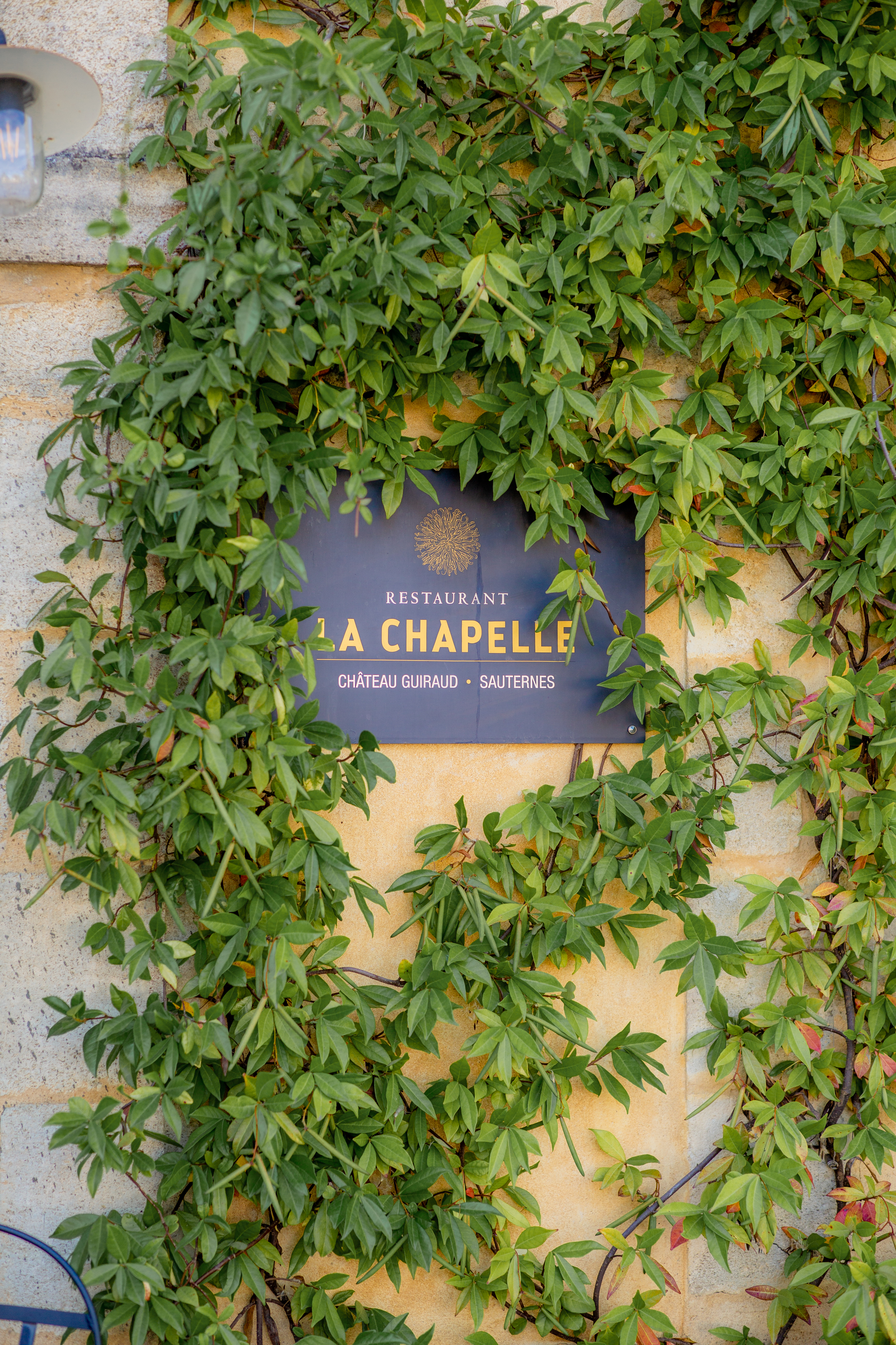 Nathalie Coster Photographie