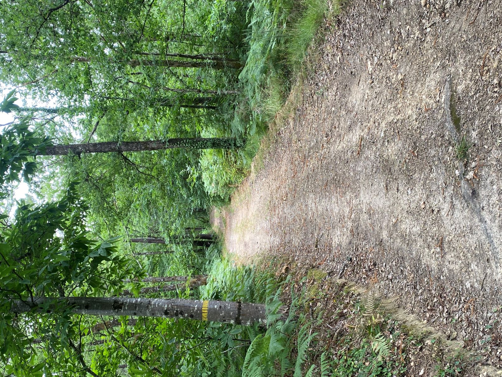 Circuit des Mottes
