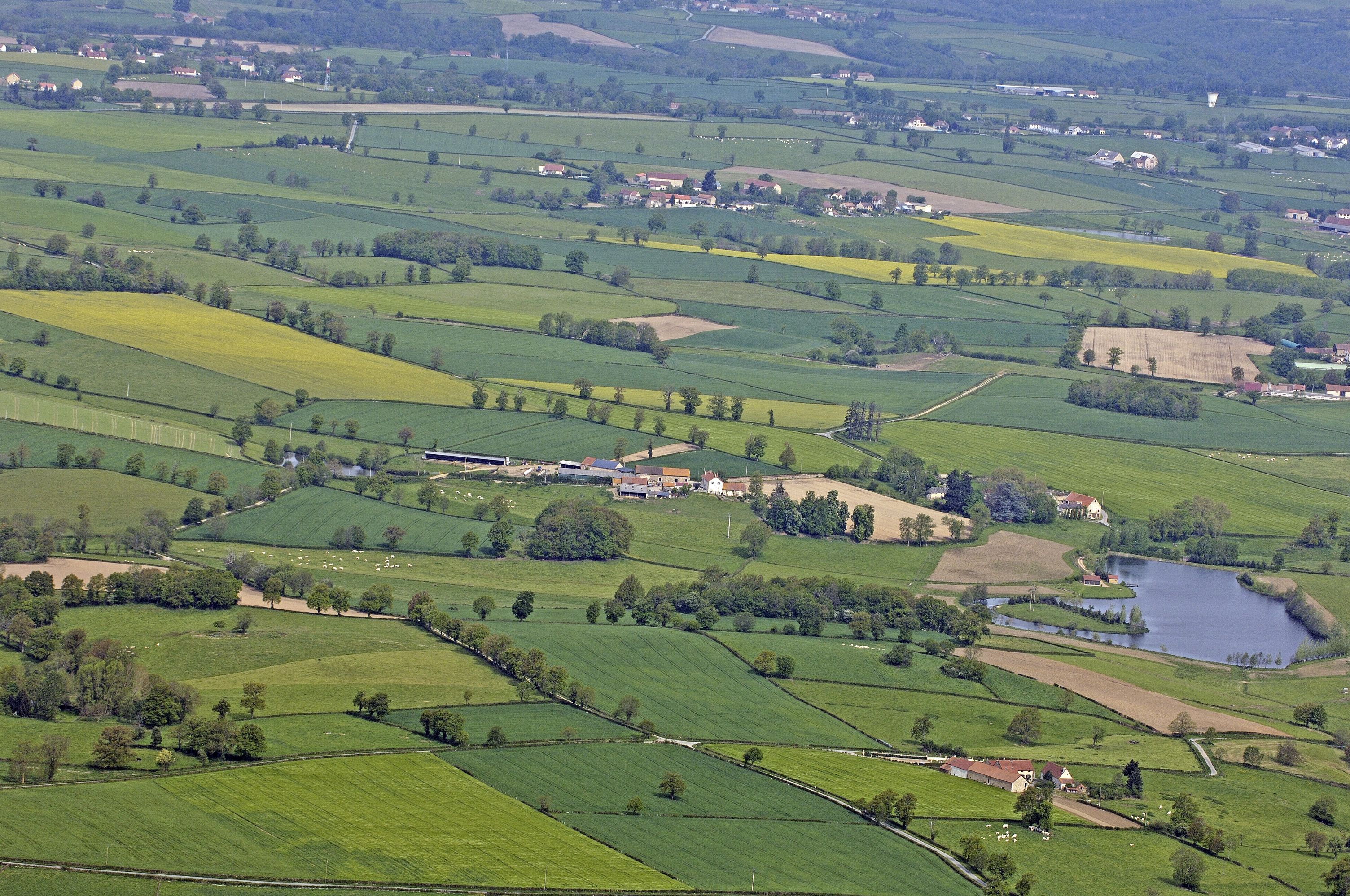 Le sentier de la Brande de Landes (Gouzon) | Tourisme Creuse Limousin