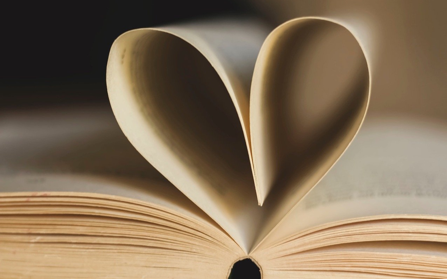 Comité lecture
