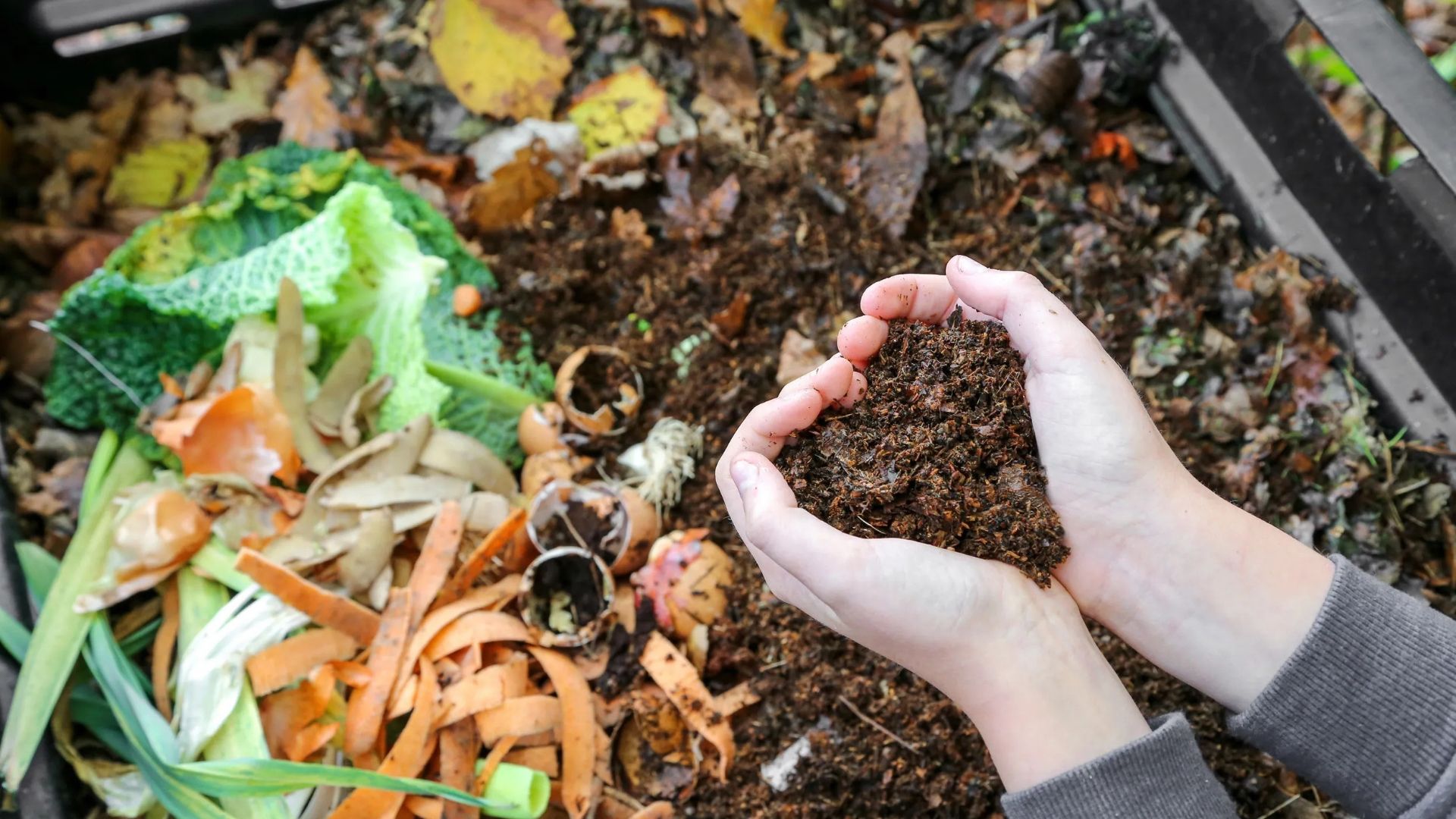 Atelier : Composter chez soi, un jeu d’enfant