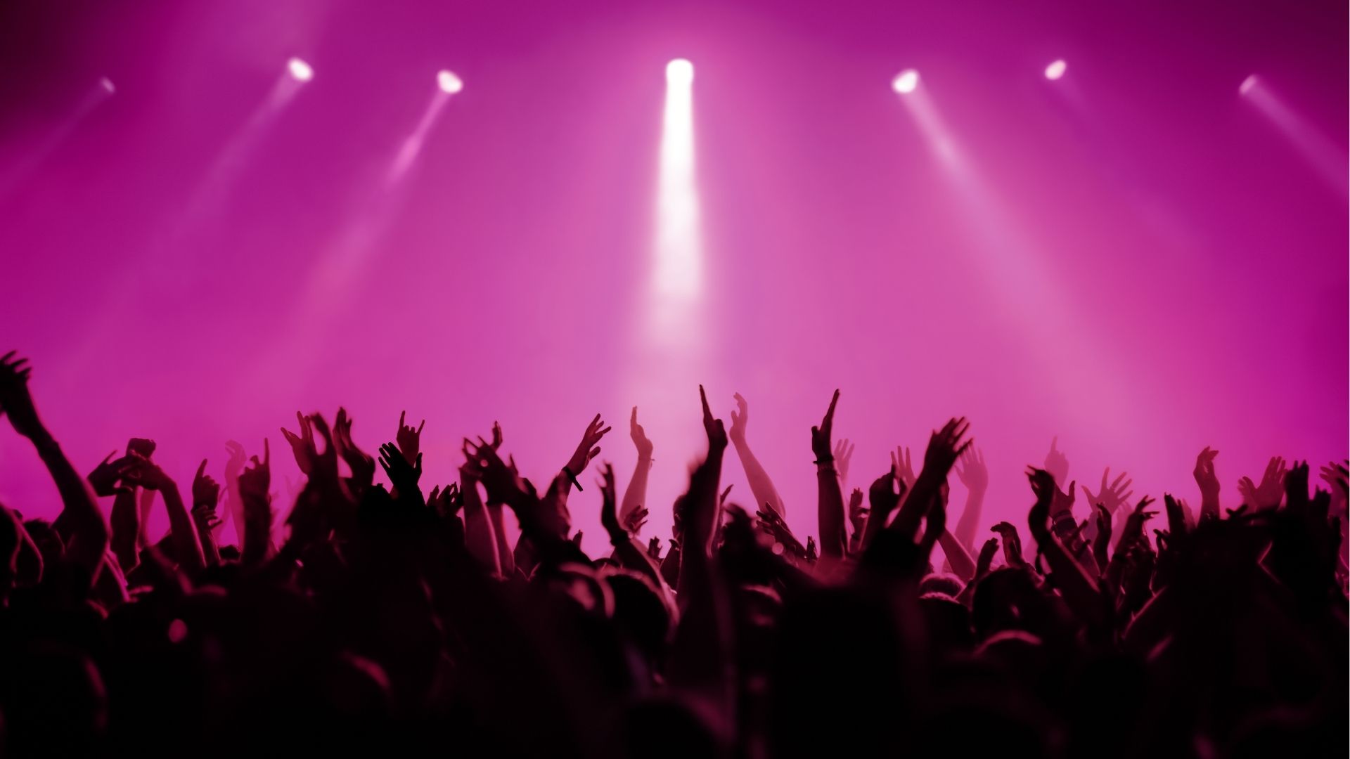 Concert : AMPLI Hors Les Murs