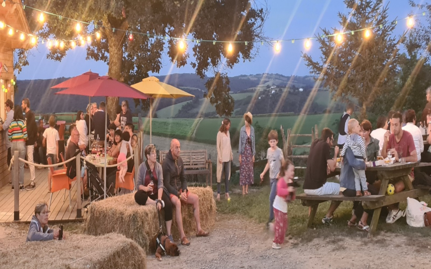 Soirée Concert à l'Asinerie