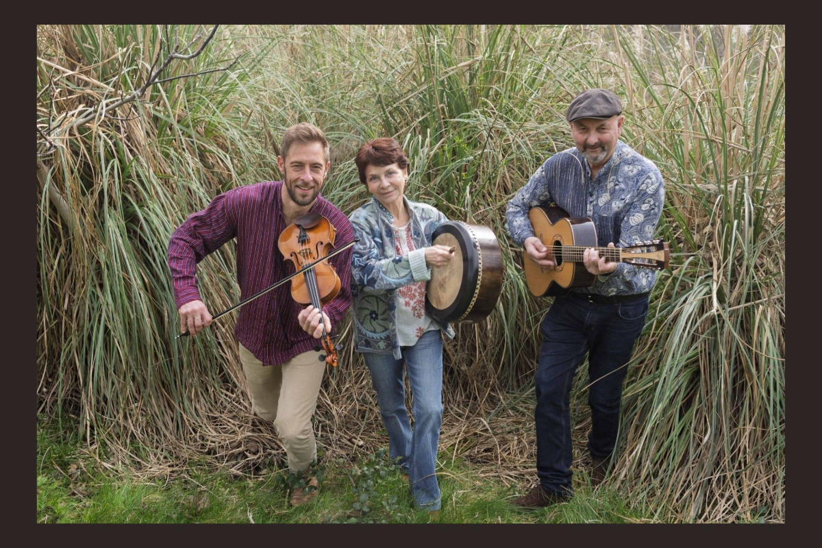 Concert | Skellig Irish Trio