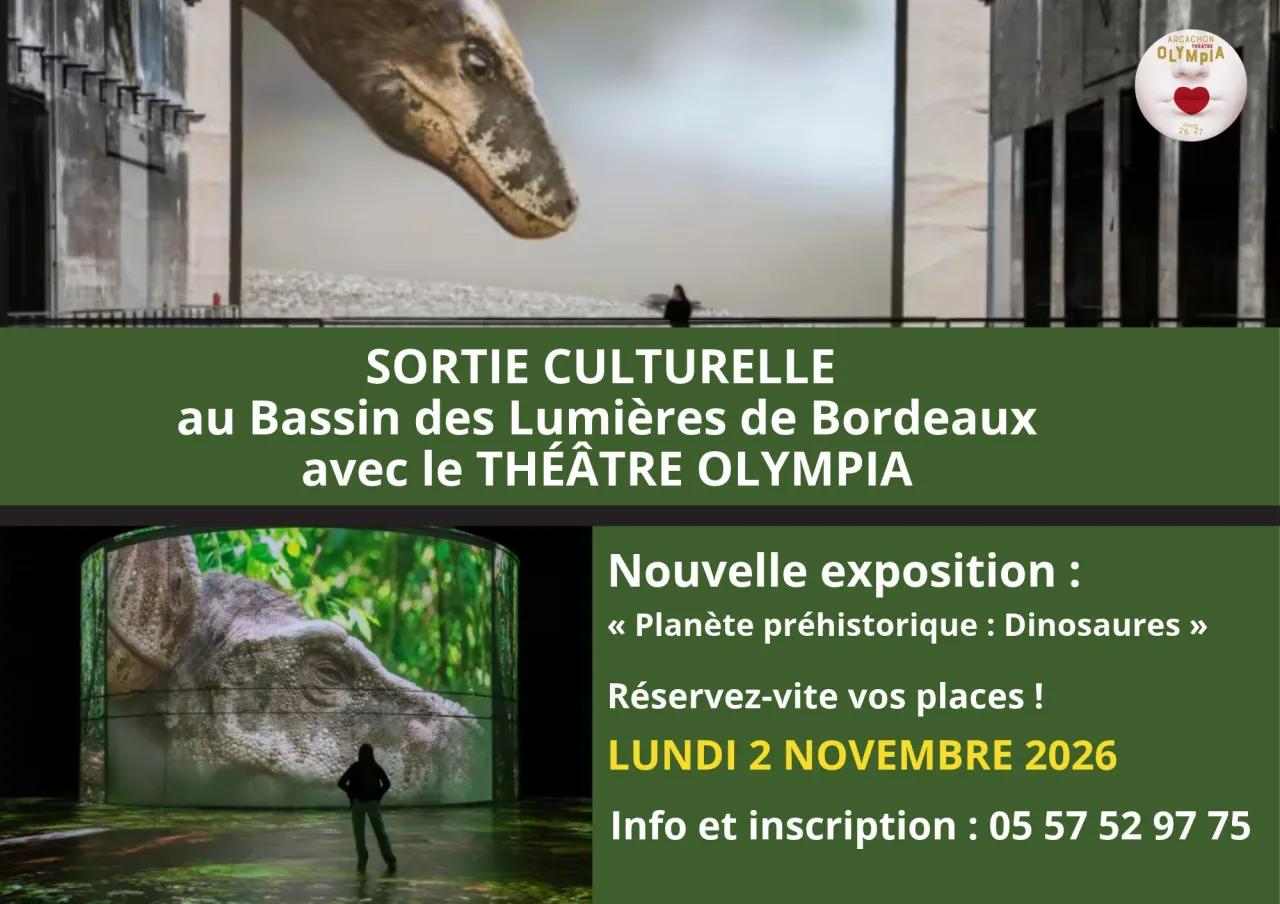 Sortie culturelle au Bassin des Lumières