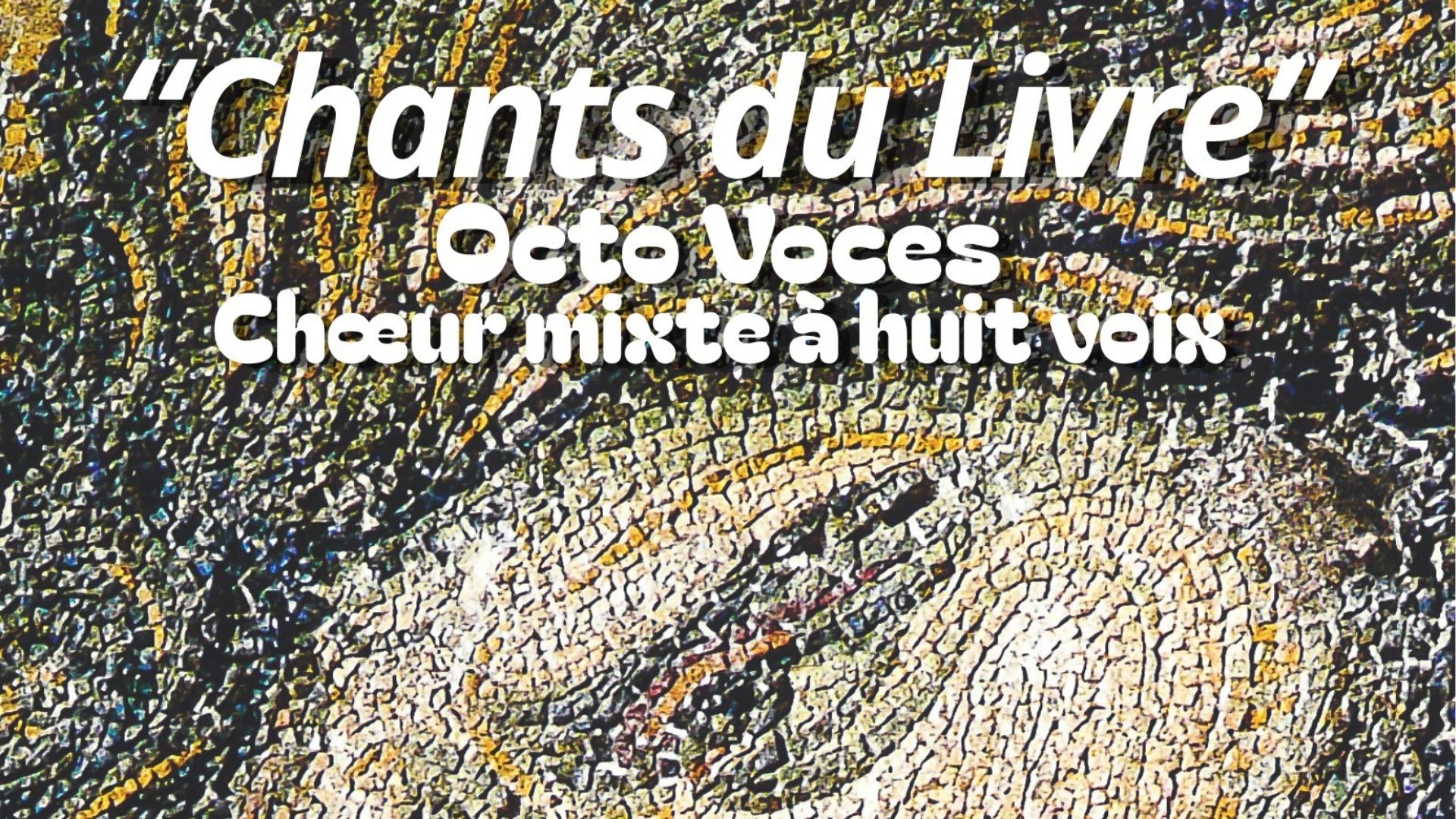 Concert "Chants du livre" - Ensemble Octo Voce ...
