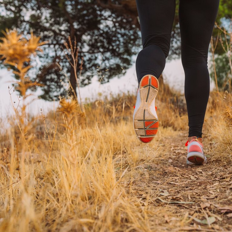 Trail semi-nocturne en relais