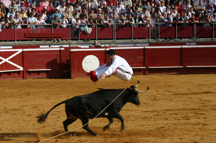 Course Landaise