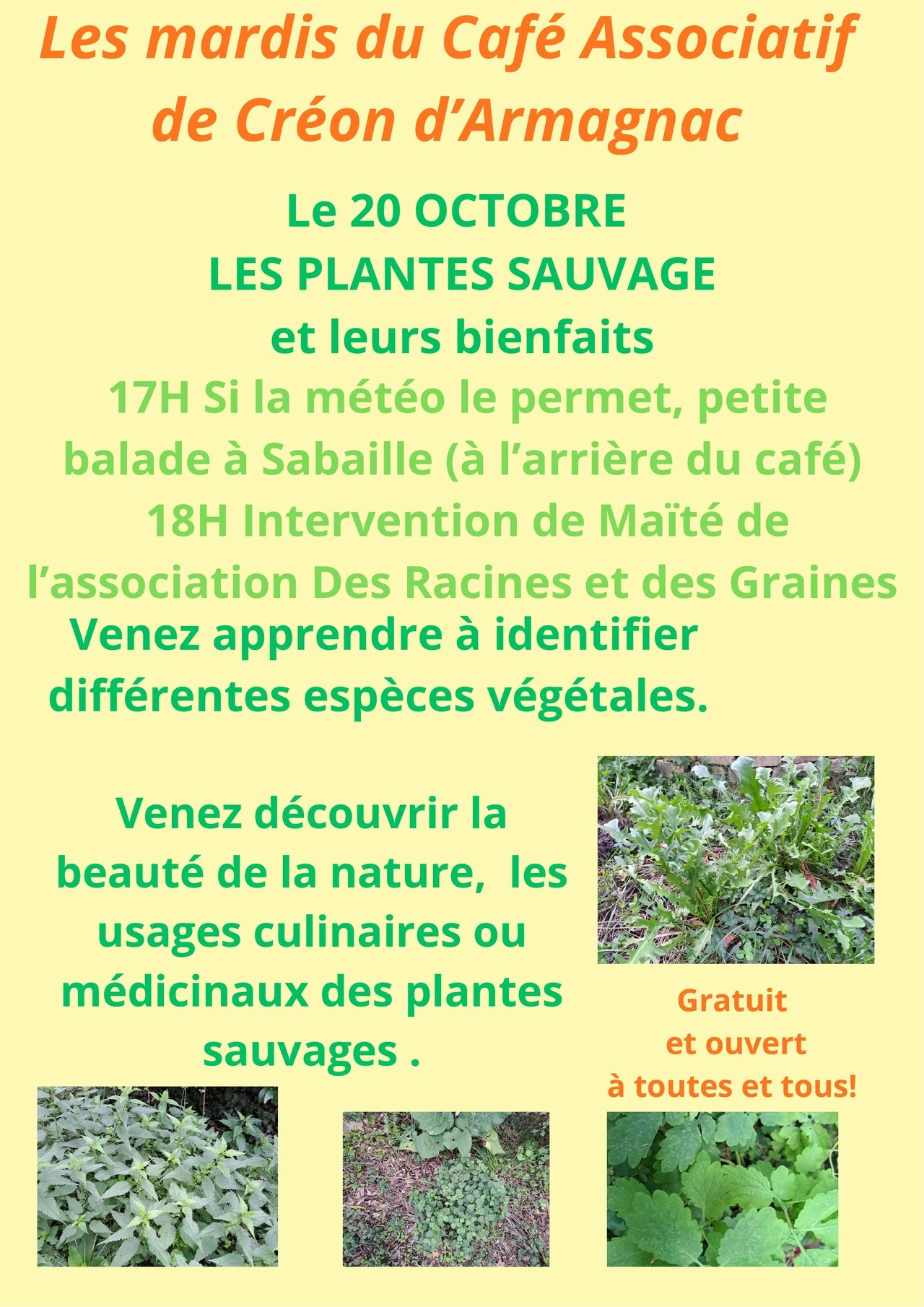 Atelier : Les plantes sauvages et leurs bienfaits