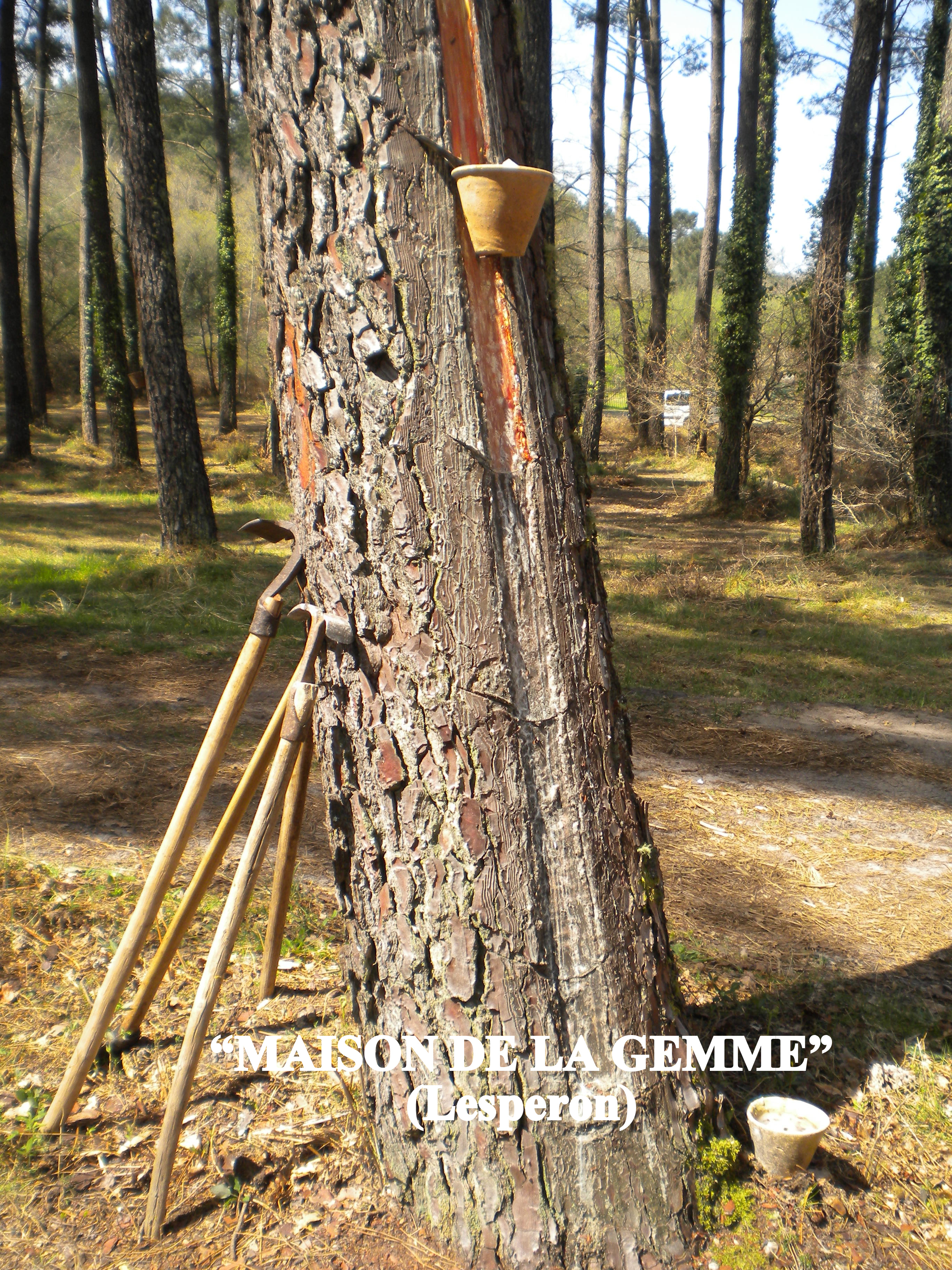 Journées du Patrimoine - La Maison de la gemme ...